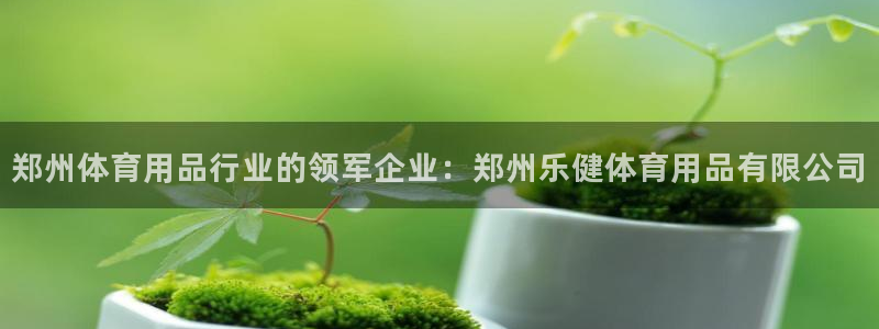 欧陆商城：郑州体育用品行业的领军企业：郑州乐健体育用