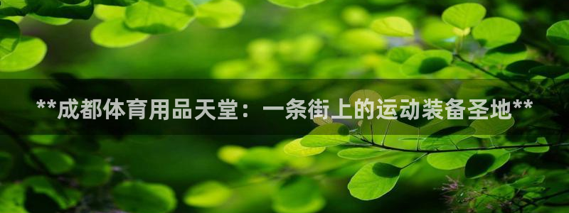 欧陆娱乐脚本怎么用：**成都体育用品天堂：一条街上的