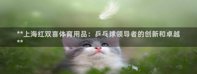 欧陆娱乐登录注册平台官网：**上海红双喜体育用品：乒