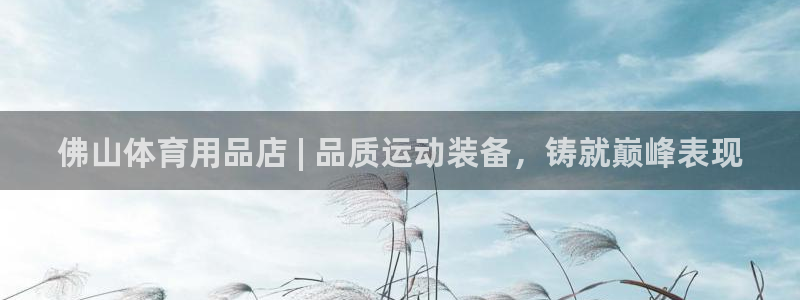 欧陆娱乐可以退钱：佛山体育用品店 | 品质运动装备，