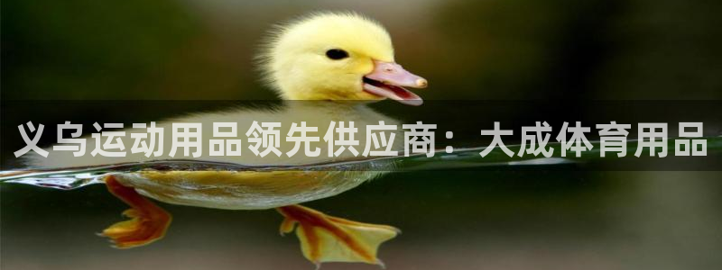 欧陆娱乐公司产品介绍大全：义乌运动用品领先供应商：大