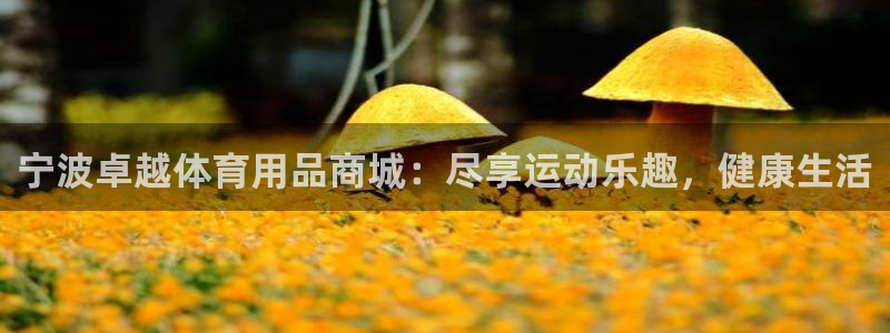 欧陆娱乐线路测速：宁波卓越体育用品商城：尽享运动乐趣