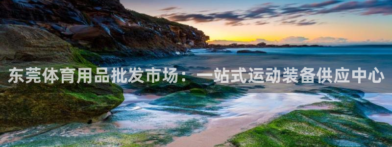 欧陆娱乐官网下载安装最新版苹果：东莞体育用品批发市场