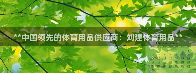 欧陆娱乐登录平台下载：**中国领先的体育用品供应商：