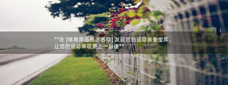 欧陆娱乐登录平台有哪些：**在 [体育用品商店名称]