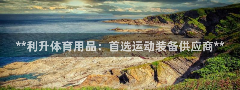 欧陆娱乐公司产品介绍怎么写：**利升体育用品：首选运