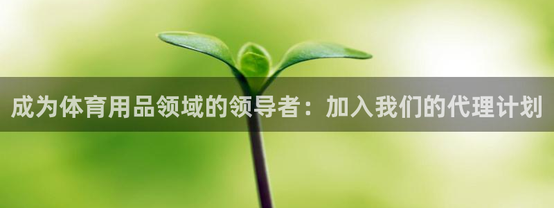 欧陆娱乐能赚钱吗现在：成为体育用品领域的领导者：加入