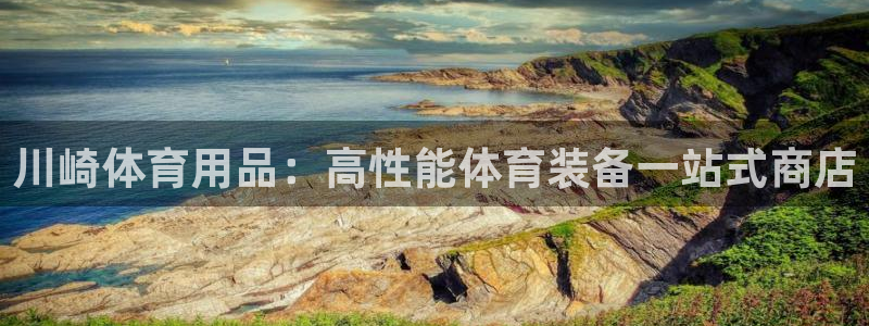 欧陆是什么平台：川崎体育用品：高性能体育装备一站式商