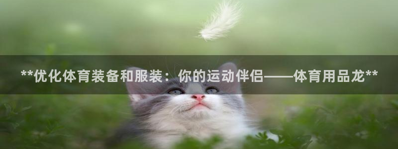 欧陆娱乐有限公司怎么样：**优化体育装备和服装：你的
