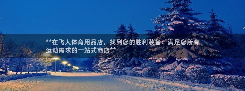 欧陆娱乐平台登录：**在飞人体育用品店，找到您的胜利