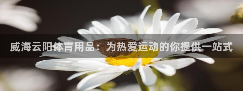 欧陆娱乐平台咋样赚钱的：威海云阳体育用品：为热爱运动