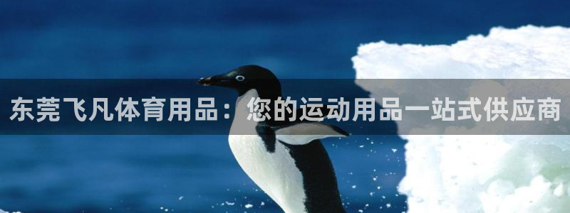 欧陆娱乐官网首页入口：东莞飞凡体育用品：您的运动用品