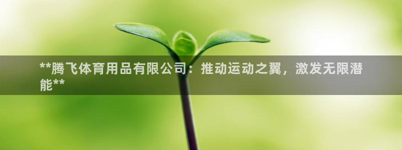 欧陆娱乐挂机项目怎么设置：**腾飞体育用品有限公司：