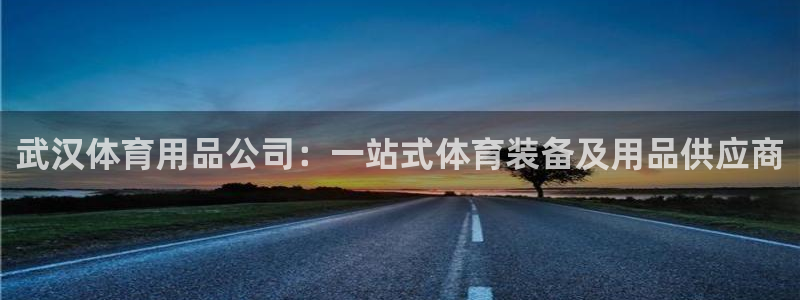 欧陆娱乐登录测速怎么关闭：武汉体育用品公司：一站式体