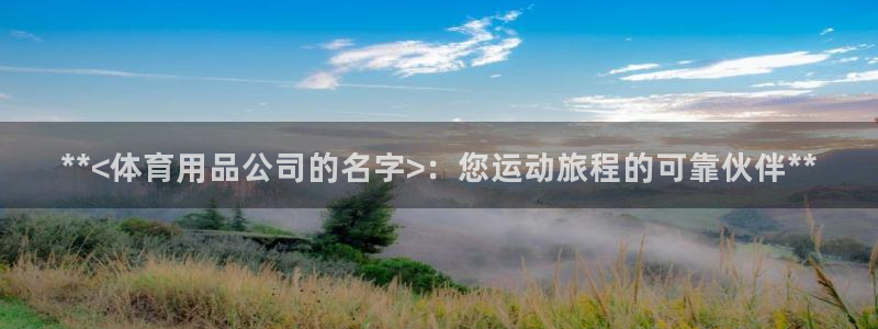 欧陆娱乐平台官网下载：**<体育用品公司的名字>：您