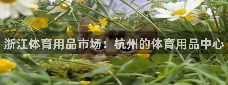 欧陆娱乐登录平台：浙江体育用品市场：杭州的体育用品中