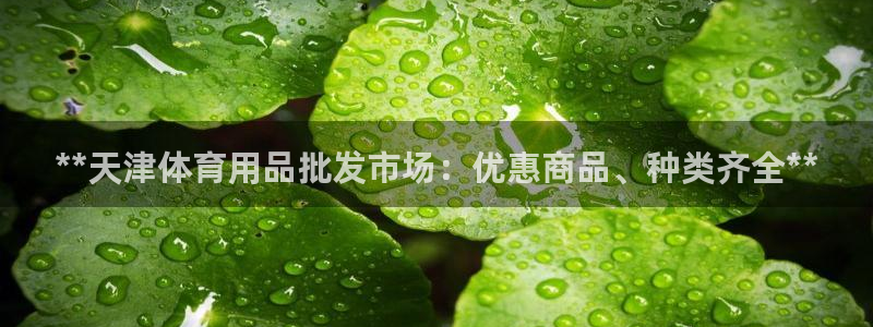 欧陆娱乐会员：**天津体育用品批发市场：优惠商品、种