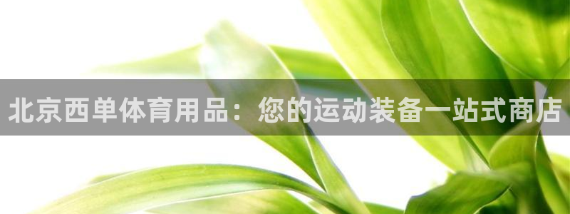 欧陆娱乐官网首页网址：北京西单体育用品：您的运动装备