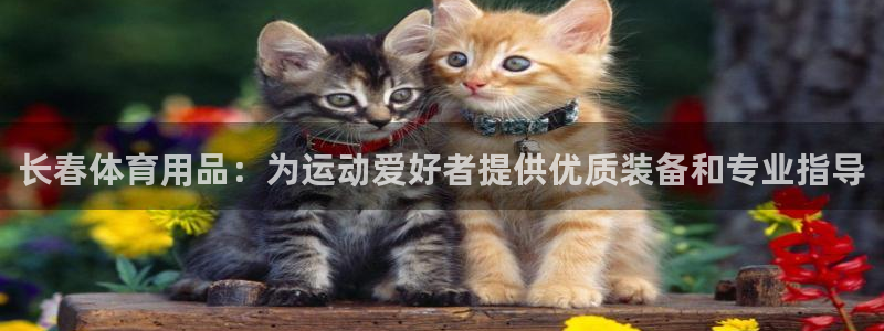 欧陆娱乐登陆平台：长春体育用品：为运动爱好者提供优质
