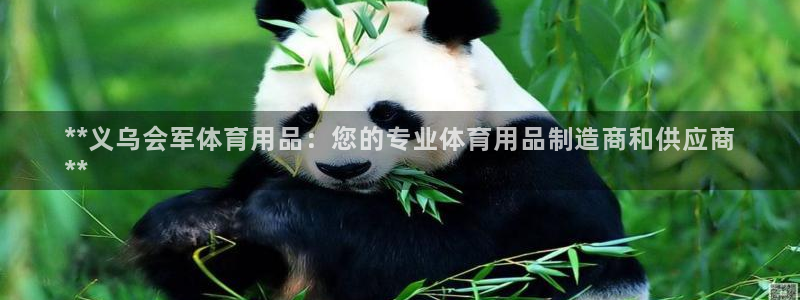 欧陆娱乐平台登陆地址在哪：**义乌会军体育用品：您的