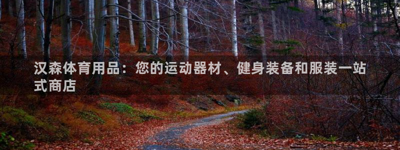 欧陆娱乐官网下载安装：汉森体育用品：您的运动器材、健