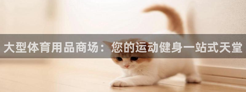 欧陆娱乐天富主管：大型体育用品商场：您的运动健身一站