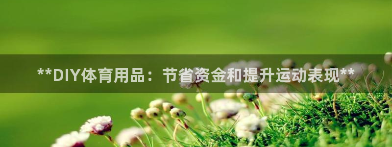 欧陆娱乐天富主管：**DIY体育用品：节省资金和提升