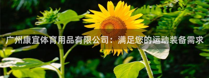 欧陆娱乐的故事有哪些：广州康宜体育用品有限公司：满足
