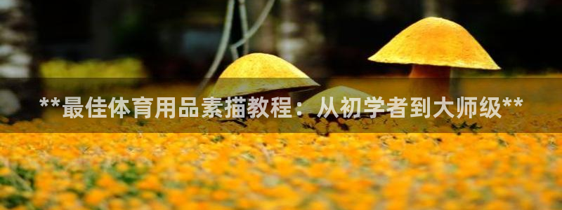 欧陆娱乐是资金盘吗：**最佳体育用品素描教程：从初学