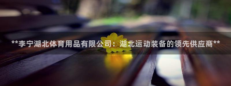 欧陆娱乐出款了吗：**李宁湖北体育用品有限公司：湖北