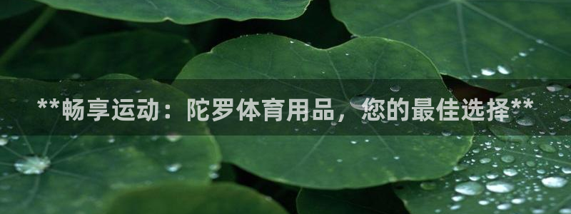 欧陆是什么平台：**畅享运动：陀罗体育用品，您的最佳