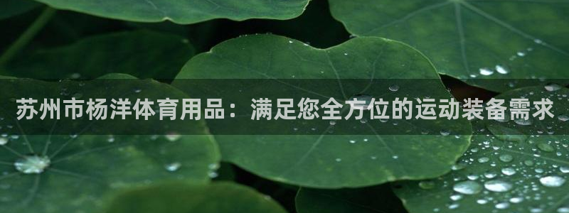 欧陆娱乐有限公司怎么样：苏州市杨洋体育用品：满足您全