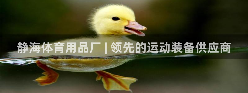 欧陆娱乐登录官网入口：静海体育用品厂 | 领先的运动