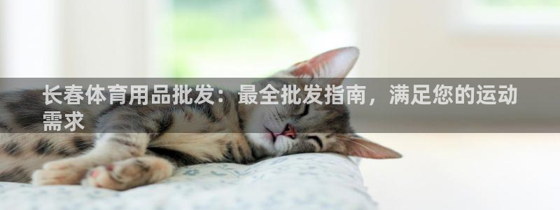 欧陆娱乐不让提现怎么办：长春体育用品批发：最全批发指