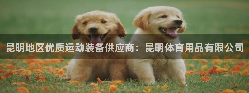 欧陆娱乐平台咋样啊赚钱：昆明地区优质运动装备供应商：