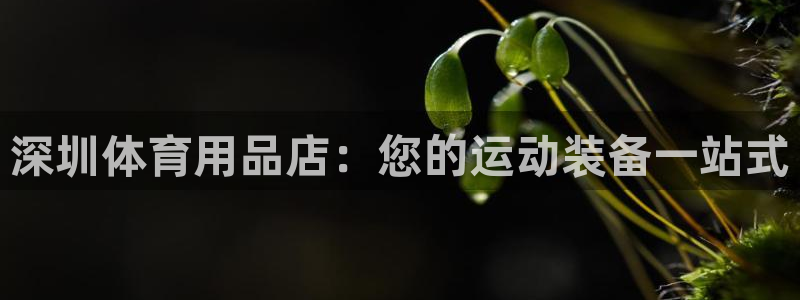 欧陆娱乐打什么方案赚钱：深圳体育用品店：您的运动装备