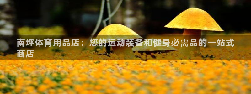 欧陆娱乐招商主管：南坪体育用品店：您的运动装备和健身