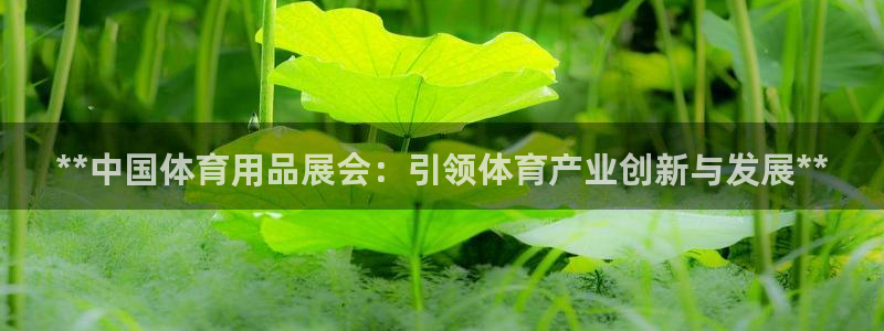 欧陆娱乐提现多久到账：**中国体育用品展会：引领体育