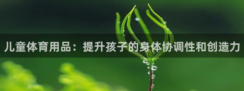 欧陆娱乐注册平台：儿童体育用品：提升孩子的身体协调性