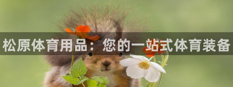 欧陆娱乐平台咋样啊安全吗：松原体育用品：您的一站式体