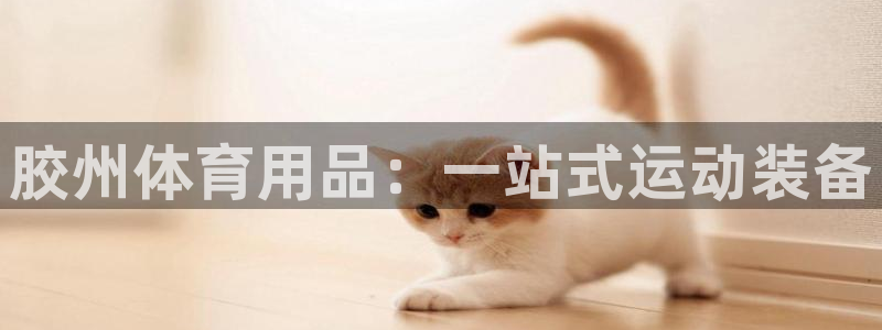 欧陆娱乐登录平台下载：胶州体育用品：一站式运动装备