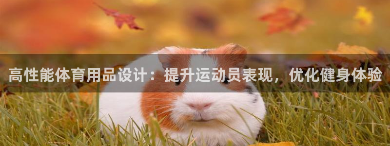 重庆欧陆娱乐有限公司怎么样：高性能体育用品设计：提升