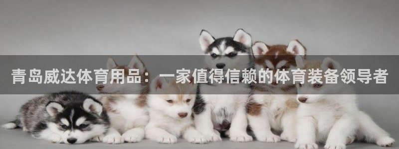欧陆娱乐图片：青岛威达体育用品：一家值得信赖的体育装