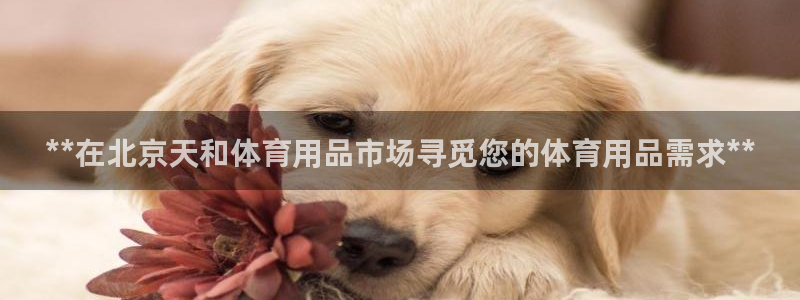 欧陆娱乐累计盈利多少就会被劝退呢知乎：**在北京天和