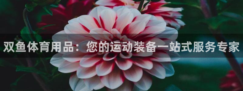 欧陆娱乐推广奖金多少：双鱼体育用品：您的运动装备一站