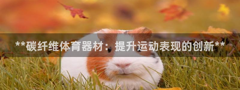 欧陆娱乐计划预测软件下载：**碳纤维体育器材：提升运