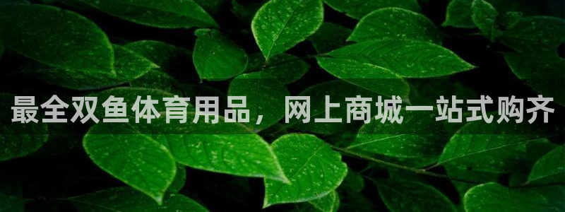 欧陆娱乐有限公司官网：最全双鱼体育用品，网上商城一站