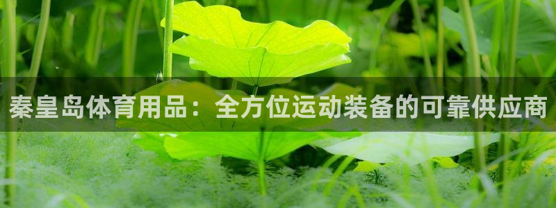 欧陆娱乐登录注册平台官网：秦皇岛体育用品：全方位运动