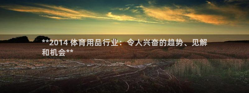 欧陆娱乐平台登录不上去：**2014 体育用品行业：