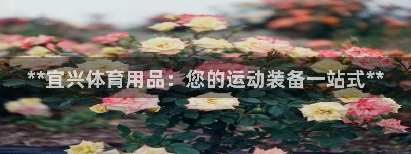 欧陆娱乐脚本怎么下载：**宜兴体育用品：您的运动装备